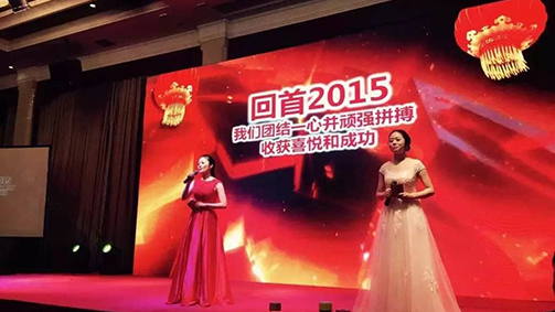 2015集团与派挺年会隆重召开